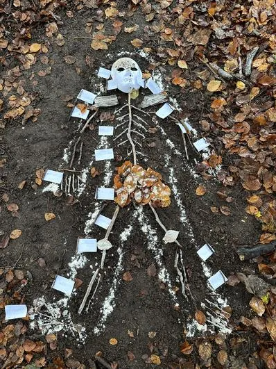 Autumn 2022 - November 23rd - Saplings - Human Skeleton - image 3 Autumn 2022 - November 23rd - Saplings - Human Skeleton - image 3