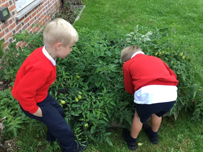 Gallery - created at 2022-09-25 20:01:52 - image 1