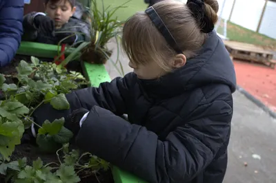 Gallery - created at 2025-11-18 16:17:01 - image 7