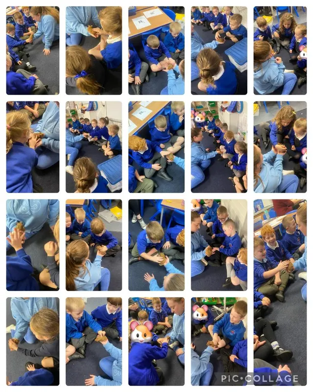 Year 1 - image 7