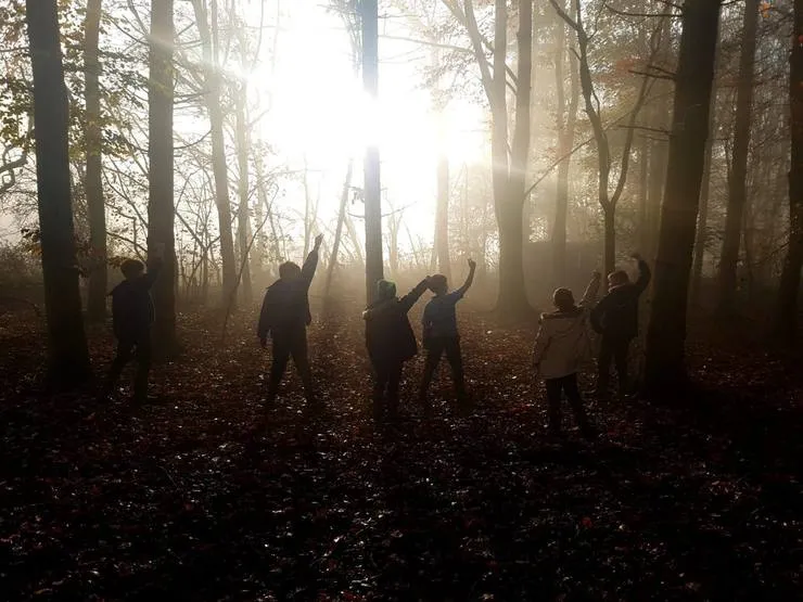 Gallery 2 - image 29