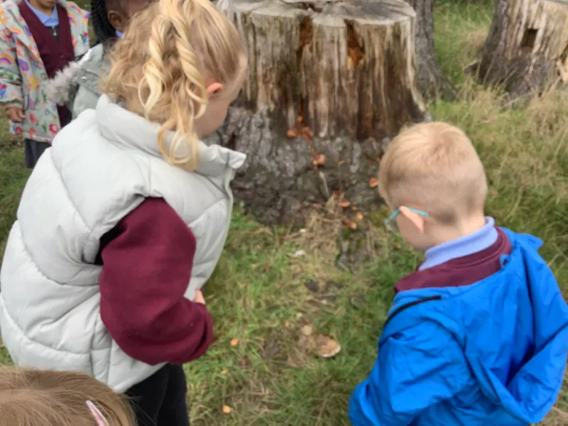 Nursery RE Creation - image 19 Nursery RE Creation - image 19