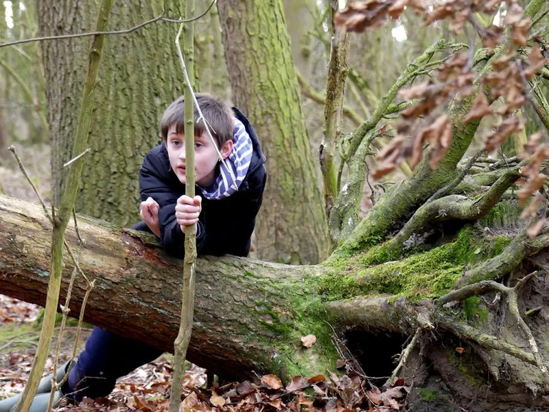 Gallery - created at 2020-05-07 11:04:06 - image 7 Gallery - created at 2020-05-07 11:04:06 - image 7