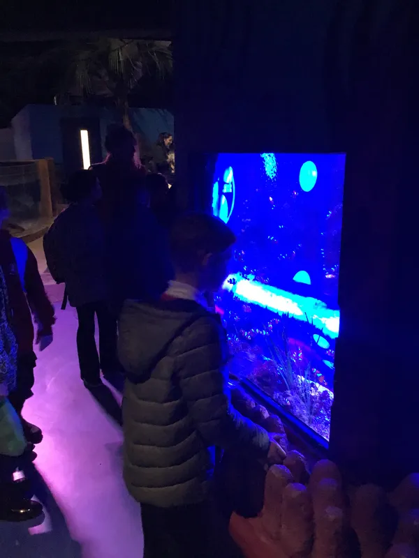 Year 5 Sealife Centre  - image 33