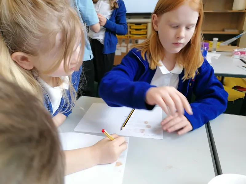 Gallery - created at 2021-03-14 14:39:05 - image 33