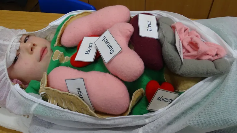 Swallows enjoying their trip to Hull's Museum Quarter - image 6 Swallows enjoying their trip to Hull's Museum Quarter - image 6