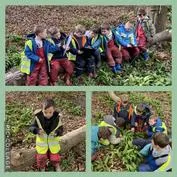 Forest School 13 - image 1 Forest School 13 - image 1