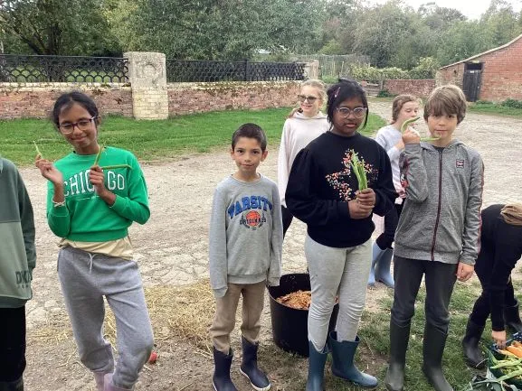 Farm 2025 - Gallery 3 - image 10