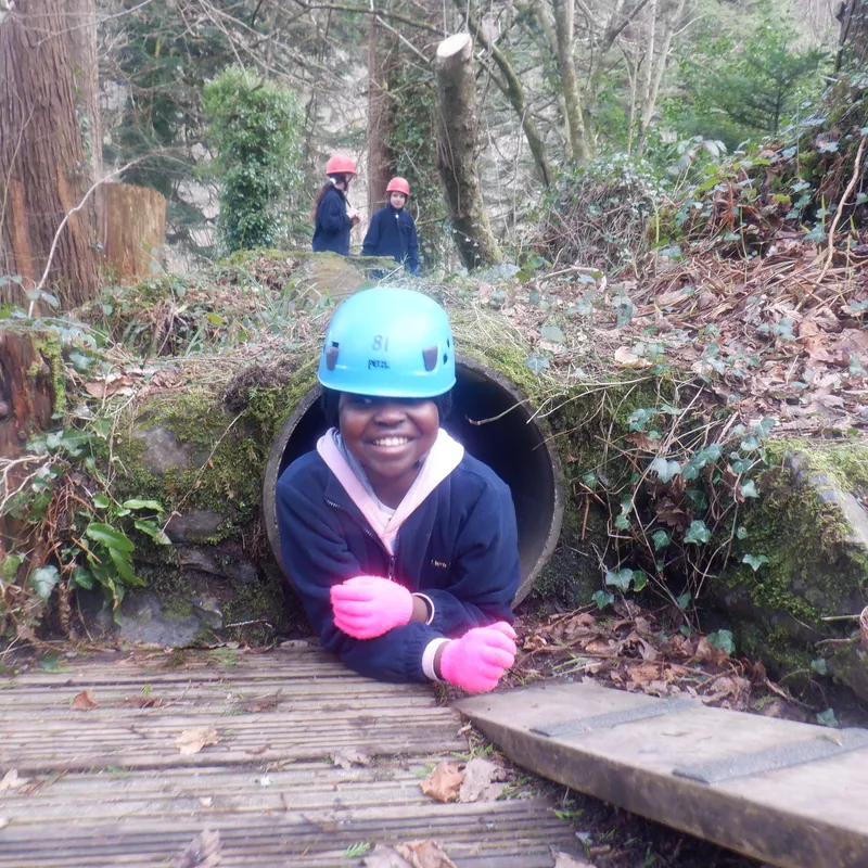 Gallery - created at 2025-02-27 19:57:56 - image 13