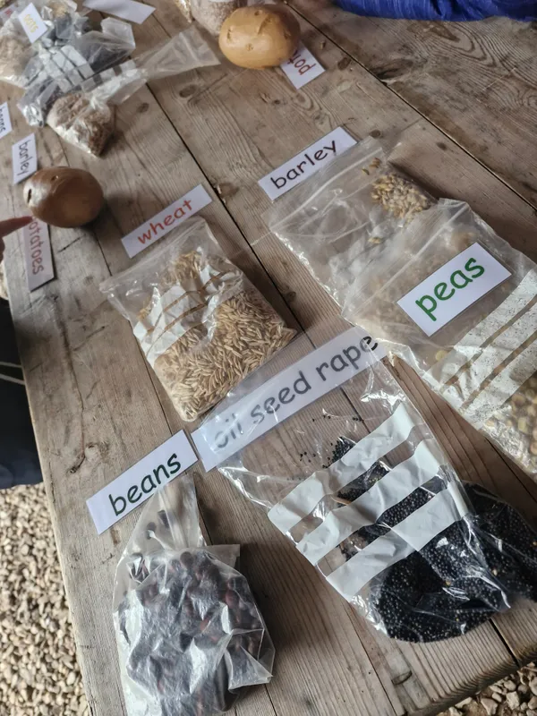 Gallery - created at 2024-10-02 11:38:57 - image 10 Gallery - created at 2024-10-02 11:38:57 - image 10