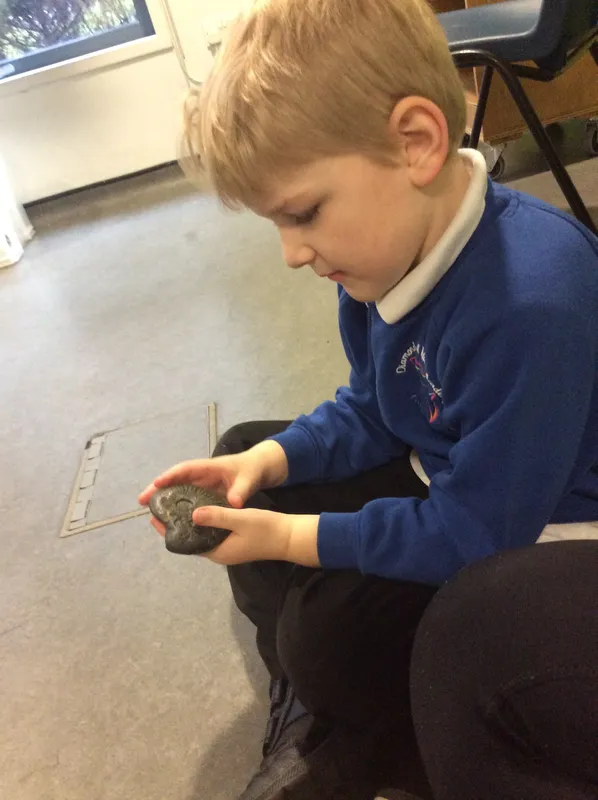 Gallery - created at 2024-02-09 11:53:37 - image 29