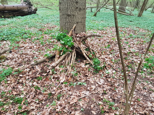 20180424_121519.jpg