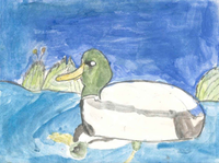Picture14.jpg