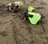 Forest School 126 - image 5 Forest School 126 - image 5