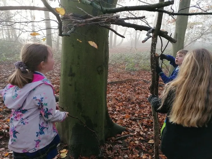 Gallery 2 - image 15