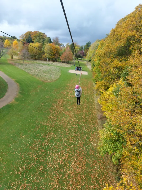 Gallery - created at 2022-10-22 14:49:24 - image 16