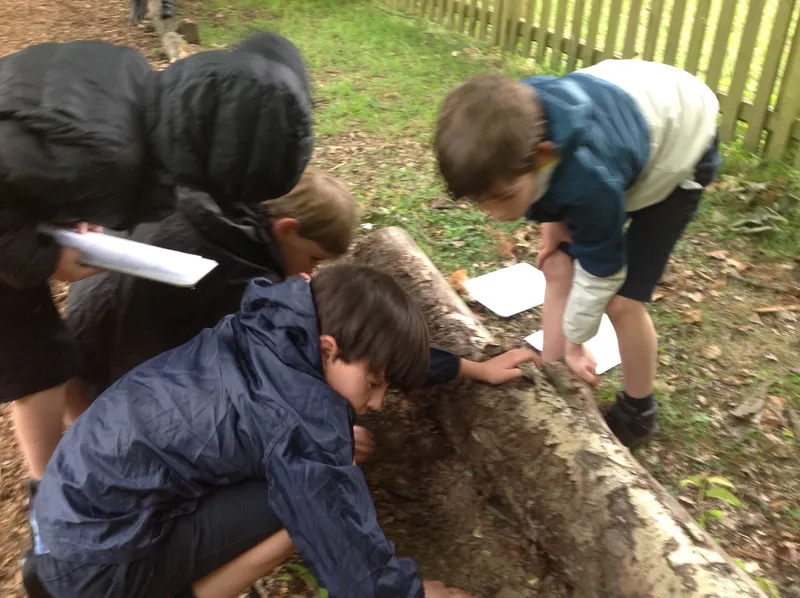 Gallery - created at 2023-07-07 15:55:26 - image 3 Gallery - created at 2023-07-07 15:55:26 - image 3