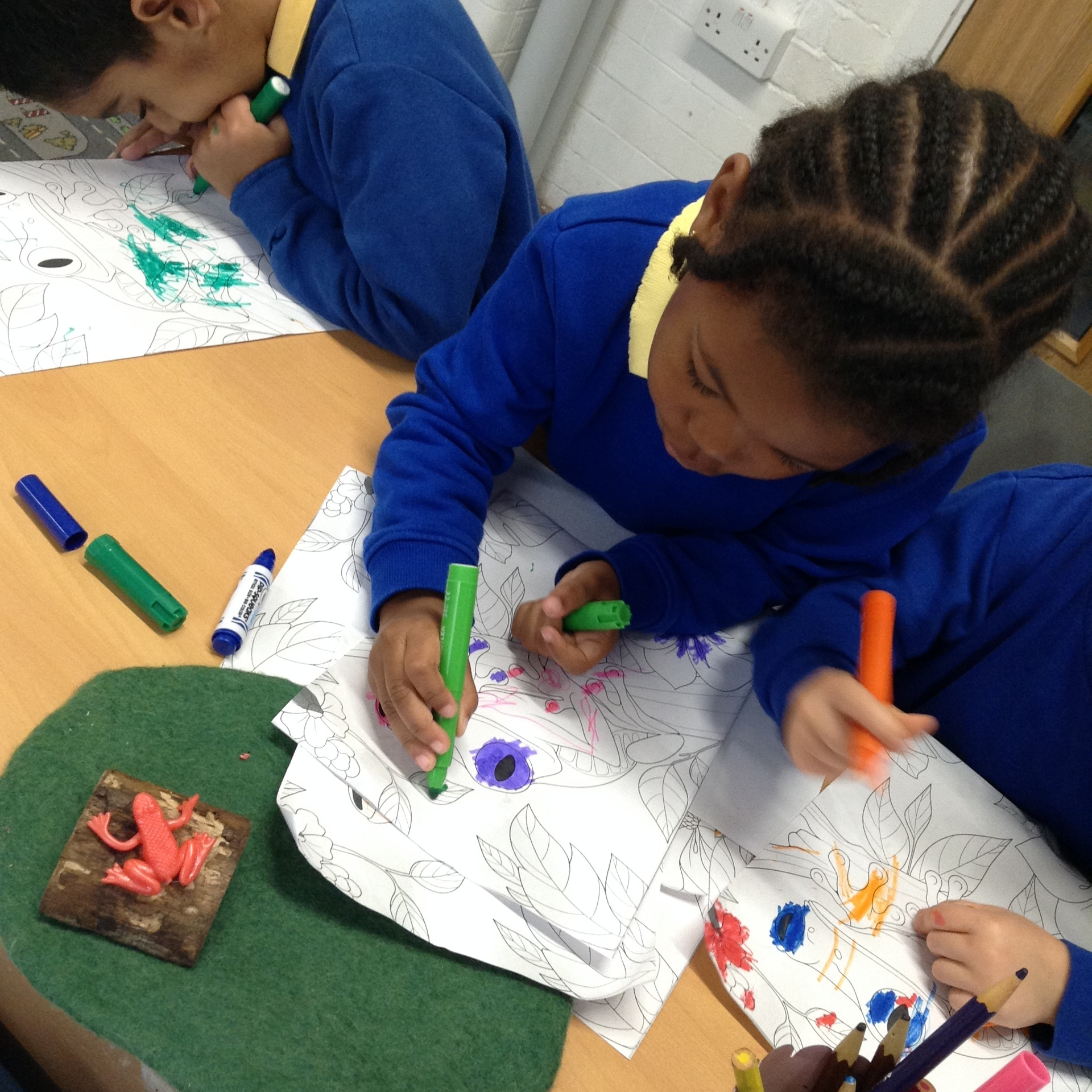 Learning About Frogs!