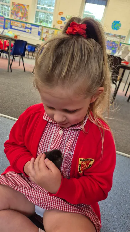 Gallery - created at 2025-05-17 14:55:55 - image 17