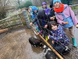 Day 2 more - image 28