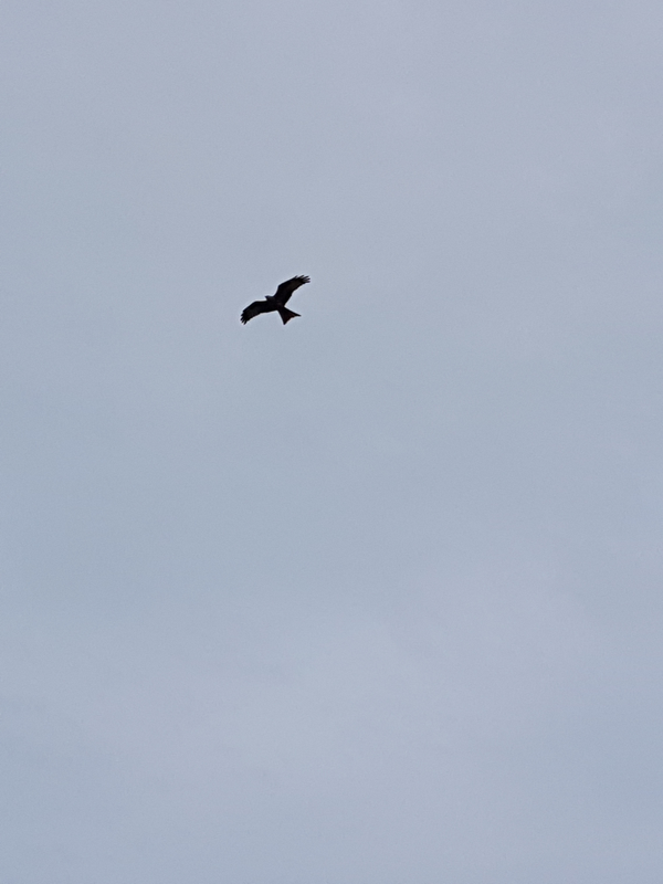 20180423_140343.jpg