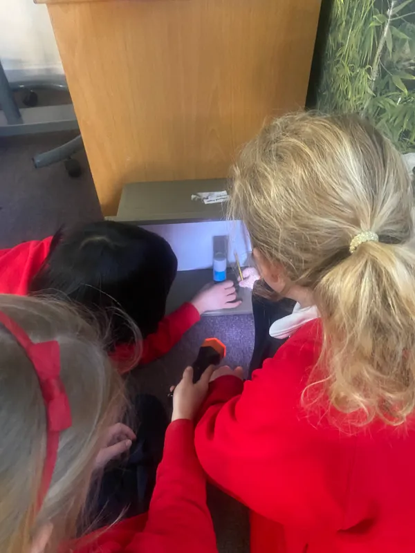 Gallery - created at 2024-11-22 12:35:37 - image 12