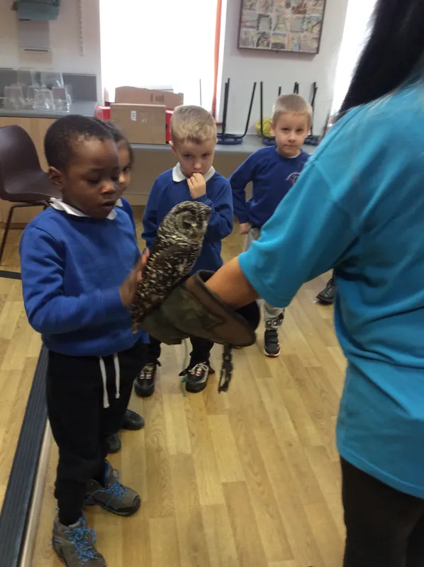 Gallery - created at 2024-02-26 17:15:57 - image 70 Gallery - created at 2024-02-26 17:15:57 - image 70