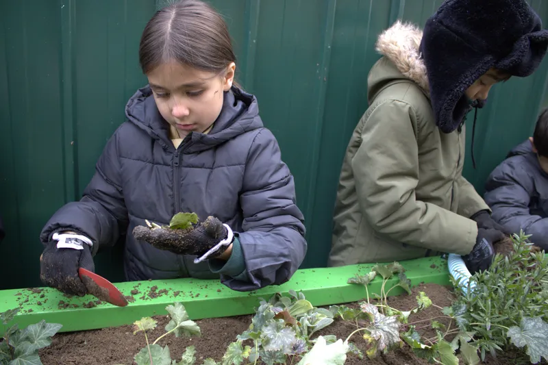 Gallery - created at 2025-11-18 16:17:46 - image 5