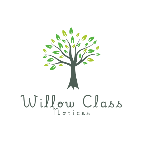 Willow Class News: Autumn Term