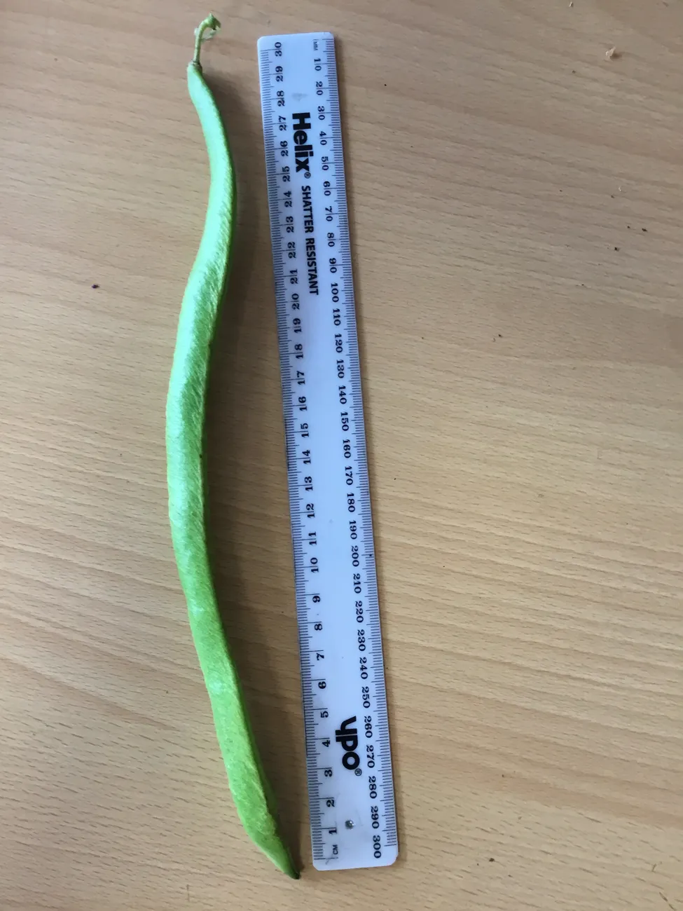 Gallery - created at 2023-09-07 16:46:06 - image 11 Gallery - created at 2023-09-07 16:46:06 - image 11