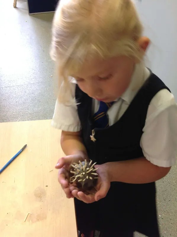 Gallery - created at 2023-10-16 11:44:15 - image 1 Gallery - created at 2023-10-16 11:44:15 - image 1