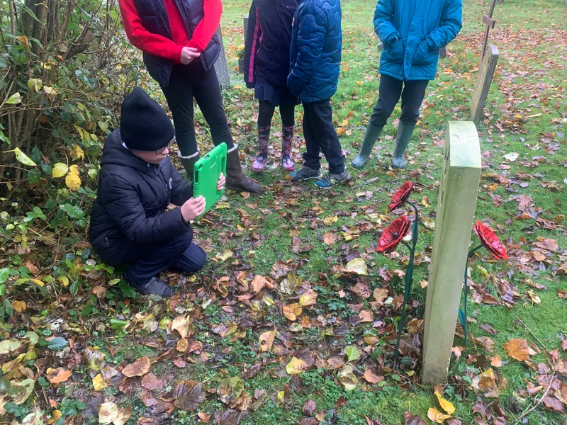 Gallery - created at 2023-11-27 17:05:37 - image 7