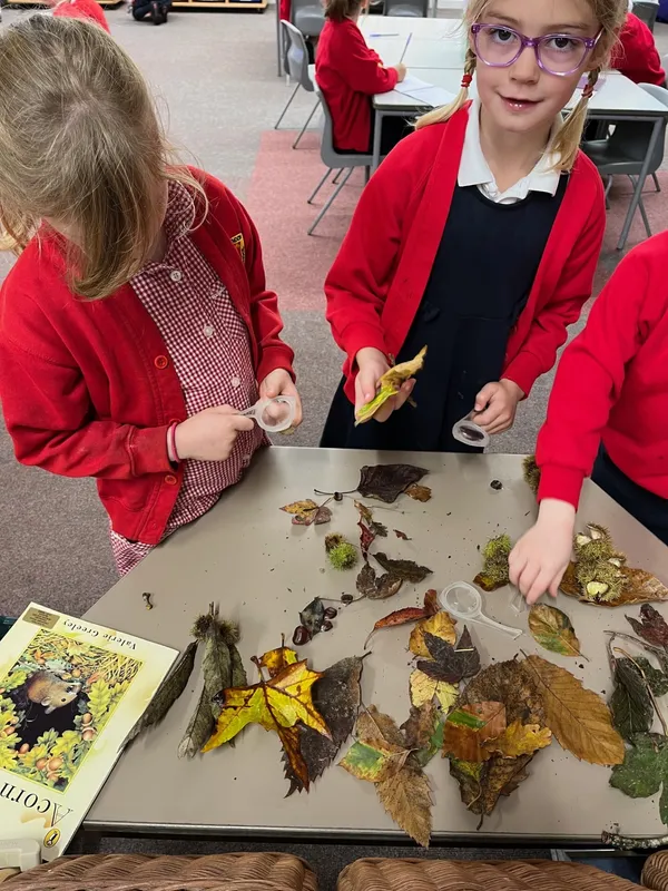 Gallery - created at 2023-10-15 15:16:55 - image 15