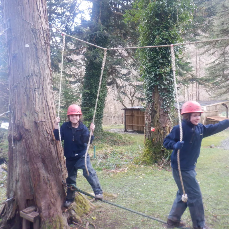 Gallery - created at 2025-02-27 19:57:56 - image 16