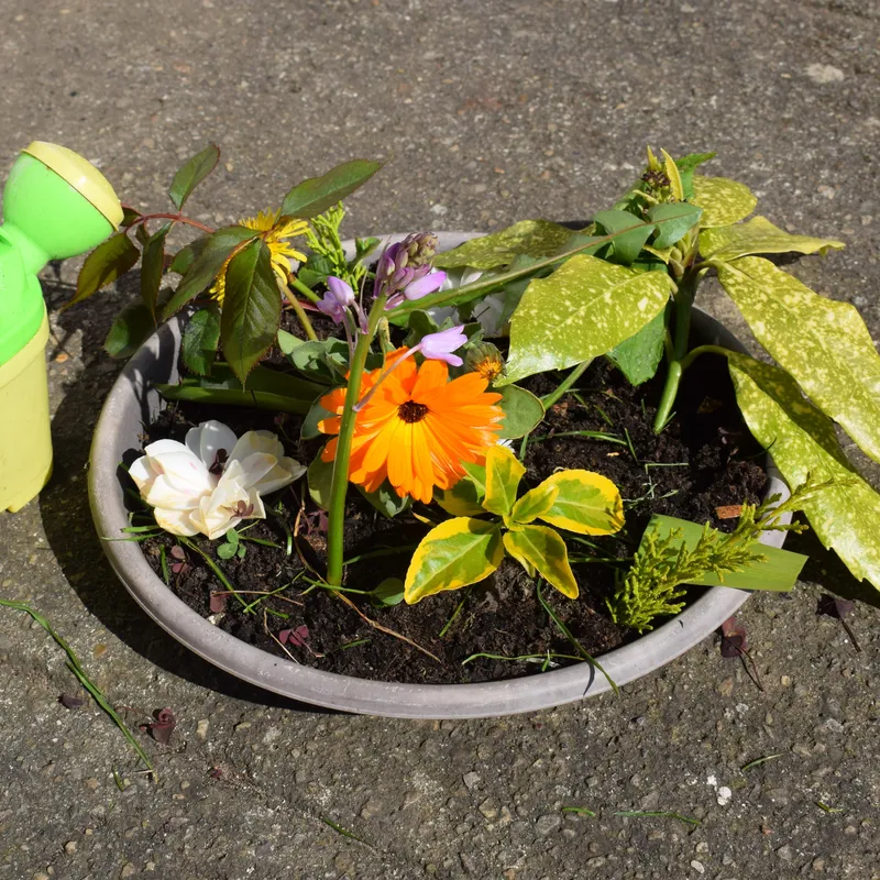 Gallery - created at 2020-04-24 13:39:23 - image 11 Gallery - created at 2020-04-24 13:39:23 - image 11