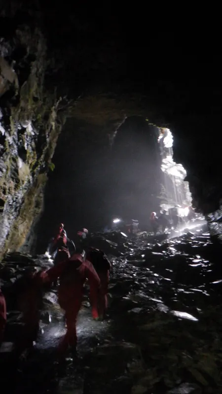 Gallery - created at 2024-02-28 19:37:21 - image 21 Gallery - created at 2024-02-28 19:37:21 - image 21