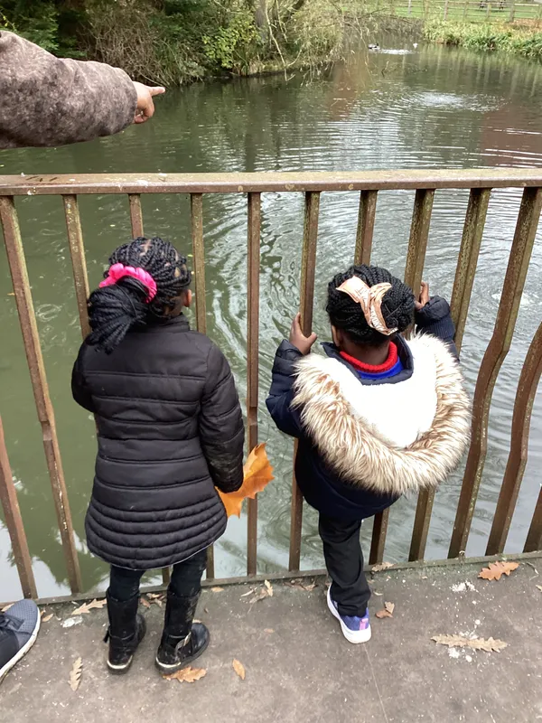 Gallery - created at 2024-11-08 10:10:59 - image 15 Gallery - created at 2024-11-08 10:10:59 - image 15