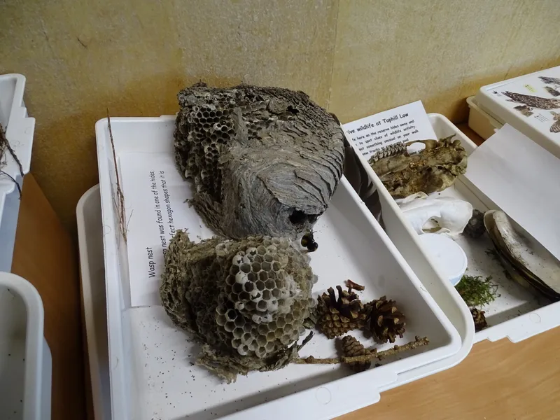 Gallery - created at 2019-05-17 14:29:26 - image 31 Gallery - created at 2019-05-17 14:29:26 - image 31