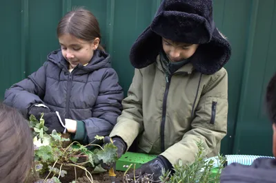 Gallery - created at 2025-11-18 16:17:01 - image 2