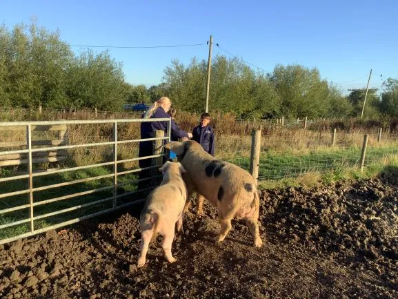 Farm Trip 25 - Gallery 2 - image 9