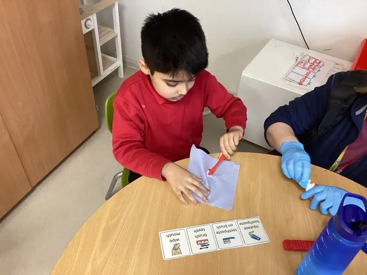 Maple Class - image 2