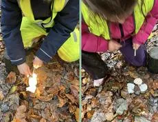 Forest School 52 - image 1 Forest School 52 - image 1