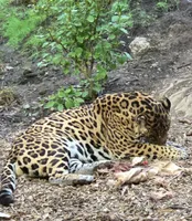 Chester Zoo Trip 2026 - image 5