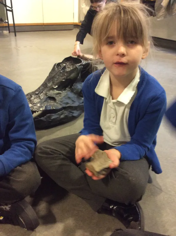 Gallery - created at 2024-02-09 11:53:37 - image 20