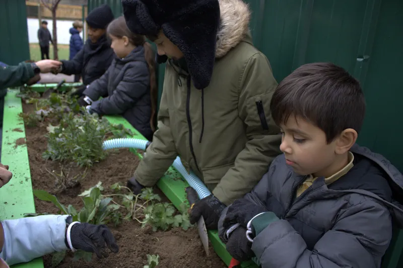 Gallery - created at 2025-11-18 16:17:46 - image 2