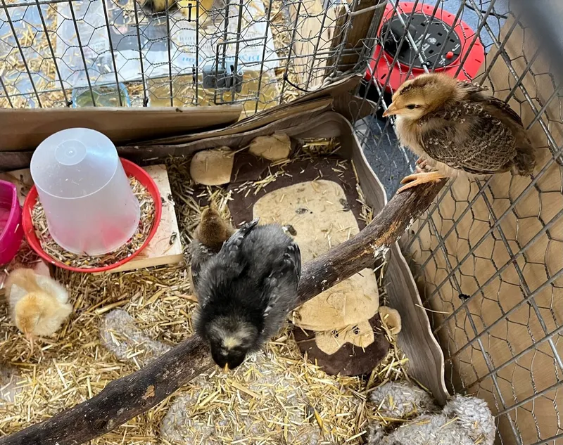 Gallery - created at 2023-05-19 14:08:25 - image 2