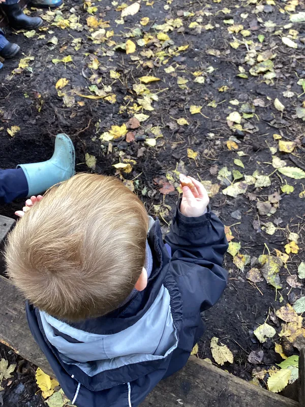 cooking sausages 25 - image 3 cooking sausages 25 - image 3