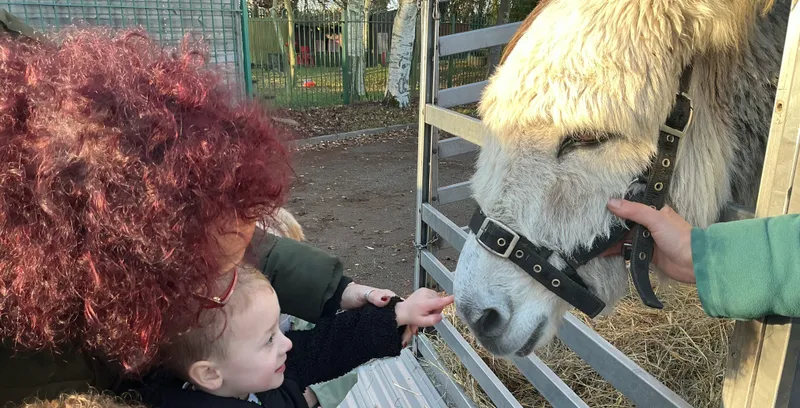 Explorers with Stella on Wheels  - image 9