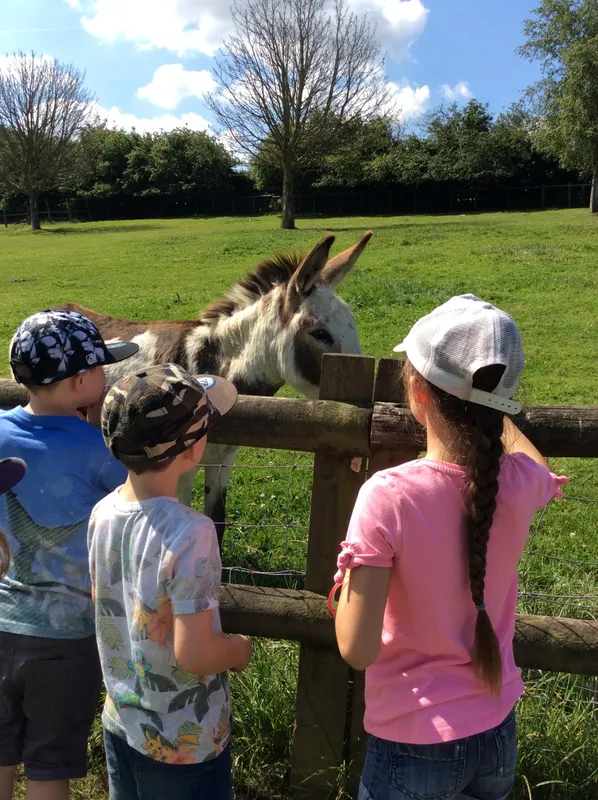 Gallery - created at 2020-02-19 15:02:11 - image 1