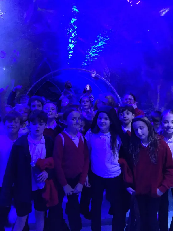 Year 5 Sealife Centre  - image 25
